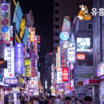 서울유흥 바로가기, 정확한 정보를 찾는 법